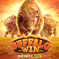 Buffalo Win