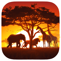 Safari Wilds