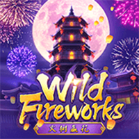 Wild Fireworks